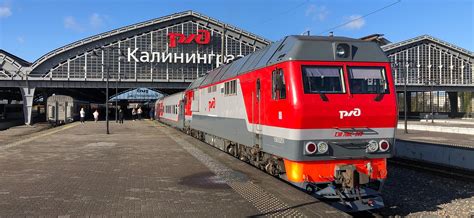 Правила и особенности въезда в Ленинградскую область