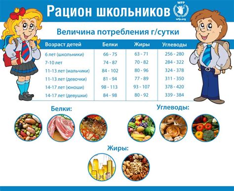 Правила и рекомендации по даче еды ребенку в школу