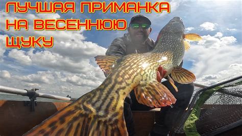 Правила и советы для сохранения щуки после пойманной