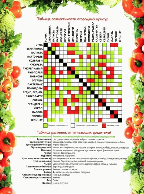 Правила посадки и совместимость растений при садоводстве