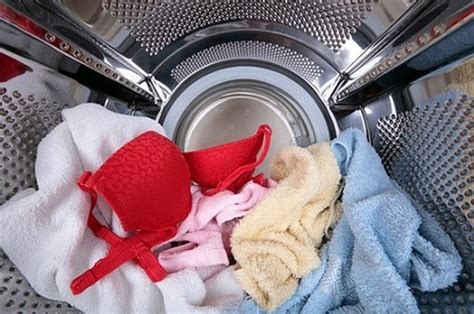 Правила сортировки белья для стирки в машине