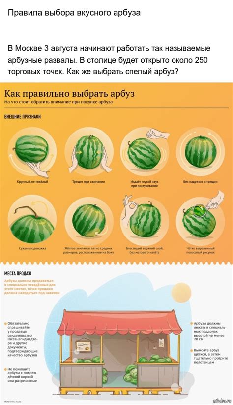 Правила хранения и выбора арбуза с желтыми прожилками