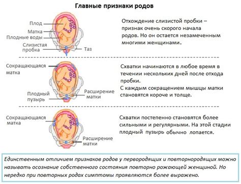 Практические рекомендации для занятия любовью после отхождения пробки
