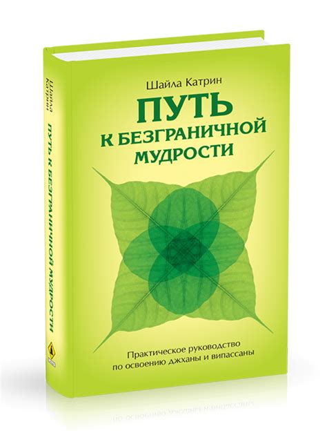 Практические советы от Ли Брейсингтона по достижению джханы