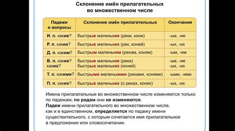 Практическое применение определения рода множественного числа имен прилагательных