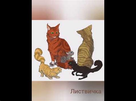 Представление об истории Котов воителей