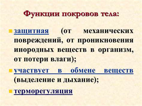 Предупреждение повреждений от влаги