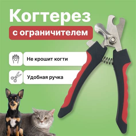 Преимущества использования обычных ножниц для стрижки когтей