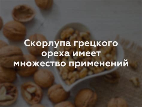 Преимущества использования скорлупы грецкого ореха