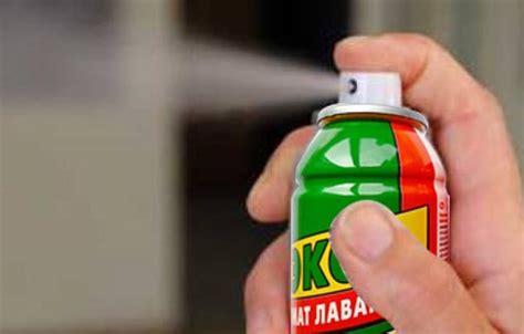 Преимущества и недостатки дихлофоса в борьбе с мошками