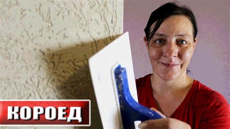 Преимущества и недостатки использования штукатурки короед на краску.