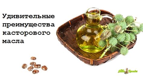 Преимущества касторового масла