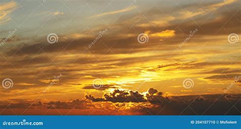 Прекрасное качество изображения