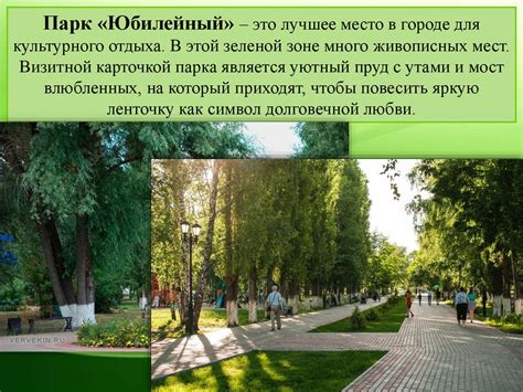 Преобразуем сельхозные участки в природные уголки