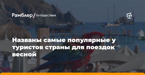 Привлекательные цены для иностранных туристов