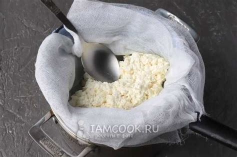 Приготовление козьего творога для замораживания: шаг за шагом
