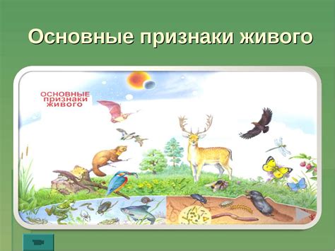 Прилагательное в описании живых существ
