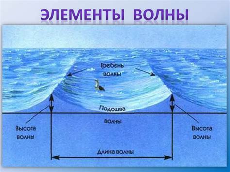 Приливы и отливы: природные явления в балансе