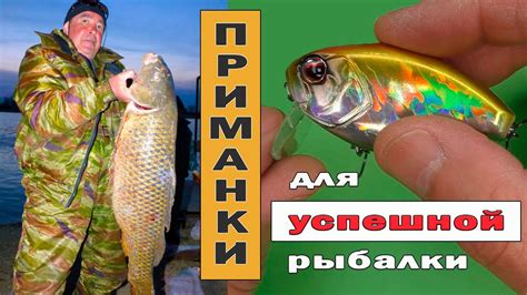 Приманки и снасти для успешной ловли щуки