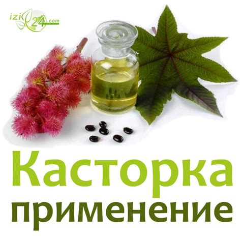 Применение касторового масла в других областях