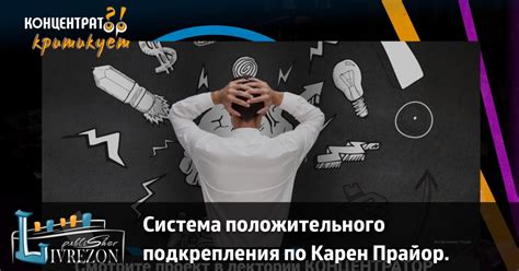 Применение положительного подкрепления для привыкания к клетке