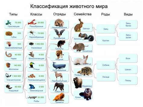 Примеры животных