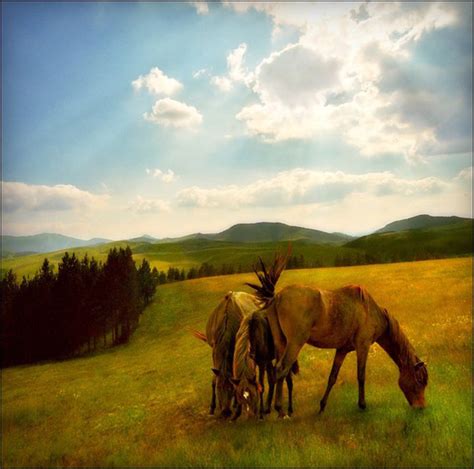 Природа в красках