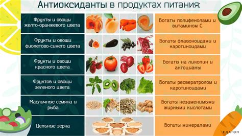 Природные антиоксиданты для молодой кожи