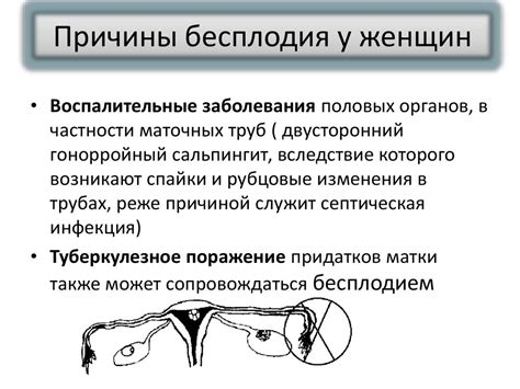 Причины бесплодия у женщин 30 лет: изучаем медицинские факторы
