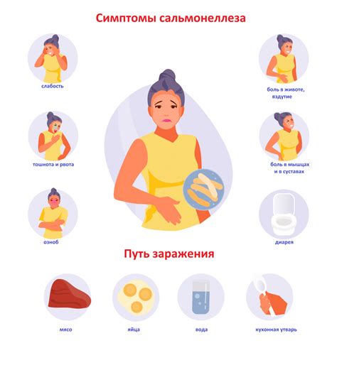 Причины возникновения сальмонеллеза