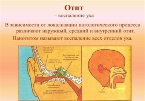 Причины воспаления мочки уха