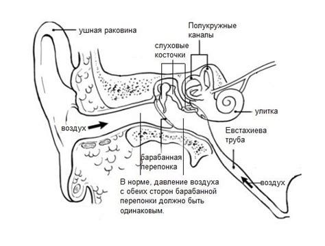Причины закладывания уха