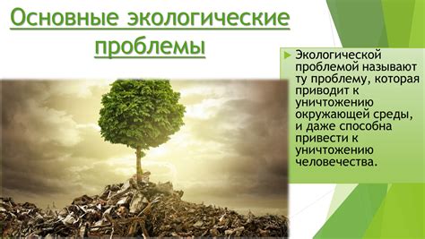 Проблема оценки и анализа суждений об экологических проблемах