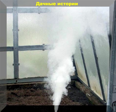 Проблемы при выращивании растений в теплице после табачной шашки