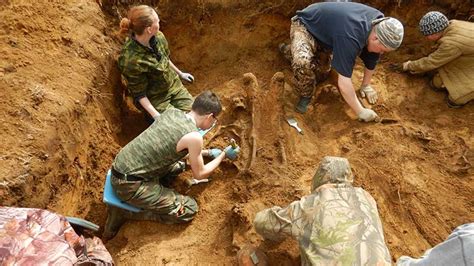 Проведение поисковых работ в Абхазии