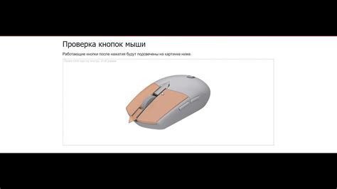 Проверка кнопок мыши: простые способы и инструкция
