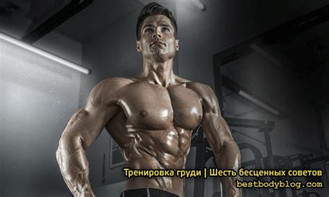 Продолжение тренировки после привыкания к клетке