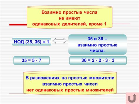 Простые числа: определение и свойства