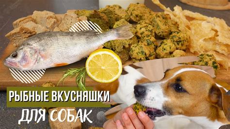 Простые шаги для приготовления лакомства
