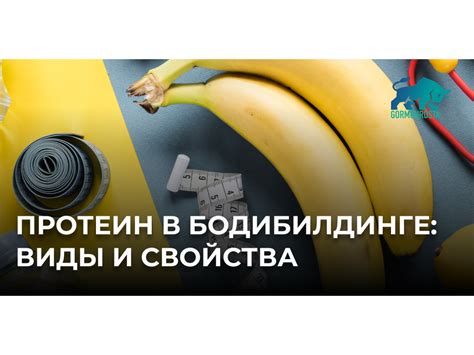 Протеин: важные факты и свойства