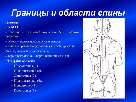 Противопоказания для массажа спины