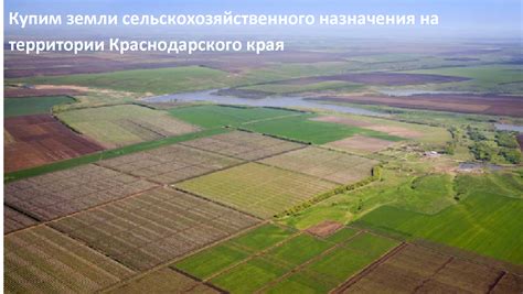 Процедура аренды земли для сельхозназначения
