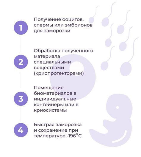Процедура замораживания яйцеклетки
