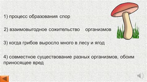 Процесс образования и распространения спор