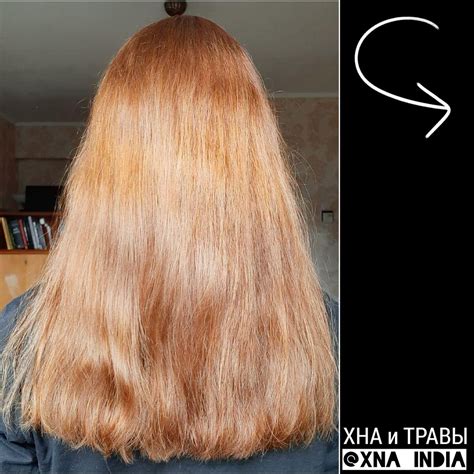 Процесс окрашивания волос хной