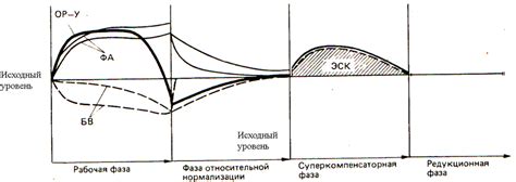 Процесс формирования цепени