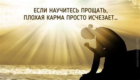 Прощение как путь к исцелению: Психологический аспект