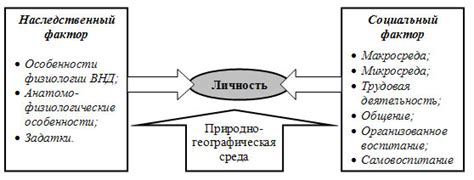 Психологические и социальные факторы рождения ребенка в пятидесяти лет