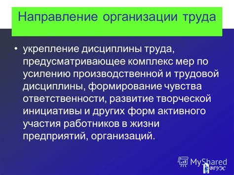 Развитие дисциплины труда в организации