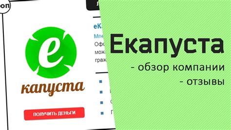 Развитие и рост компании Екапуста